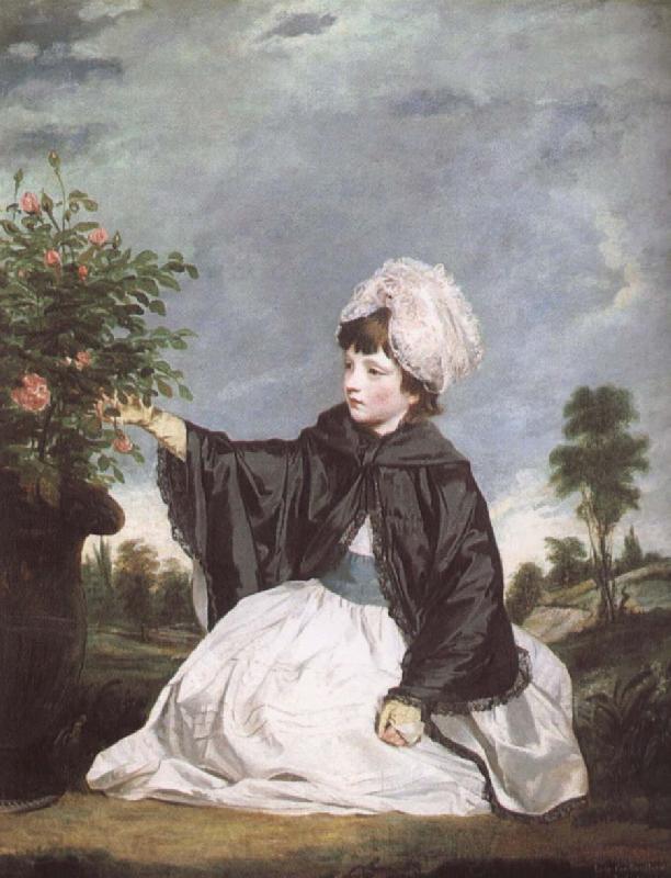 Sir Joshua Reynolds Lady Caroline Howard